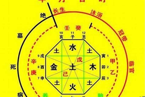 怎麼看喜用神|八字入门基础 第六篇 如何判断八字喜用神